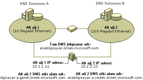 Birçok adla yapılandırılmış birden çok bağlantılı DNS bilgisayarı