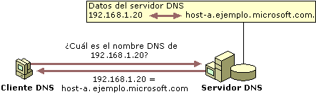 Ejemplo: Búsqueda DNS inversa