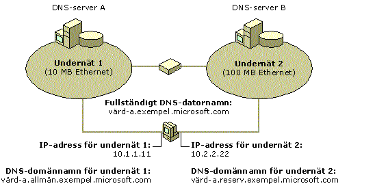 Multihomed DNS-dator konfigurerad med många namn