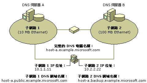 以許多名稱設定的多重主目錄 DNS 電腦