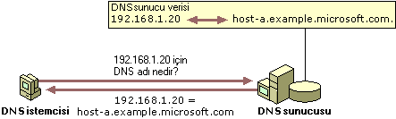 Örnek: DNS geriye doğru araması
