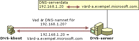 Exempel: Omvänd DNS-sökning