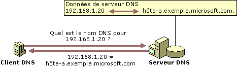 Exemple : Recherche inversée DNS