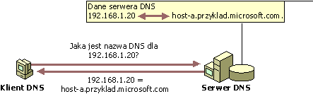Przykład: Wyszukiwanie wsteczne DNS