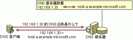 示例：DNS 反向查找